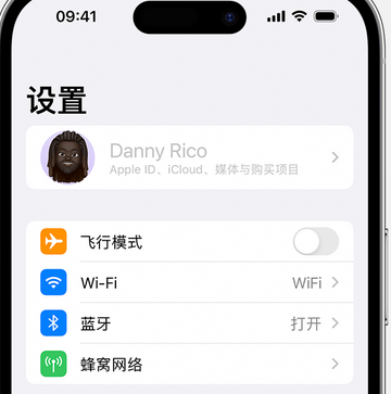 石家庄appleID维修服务iPhone设置中Apple ID显示为灰色无法使用