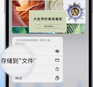 石家庄apple维修中心分享iPhone文件应用中存储和找到下载文件