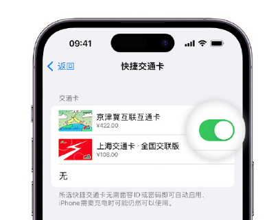 石家庄apple维修点分享iPhone上更换Apple Pay快捷交通卡手绘卡面 