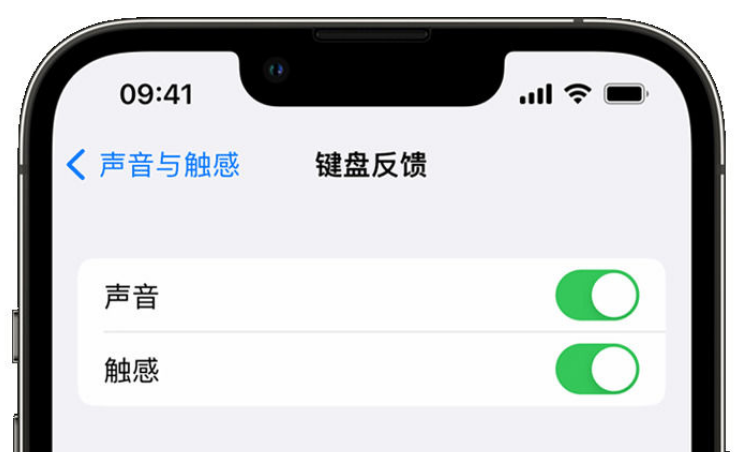 石家庄苹果手机维修分享iPhone 14触感键盘使用方法 