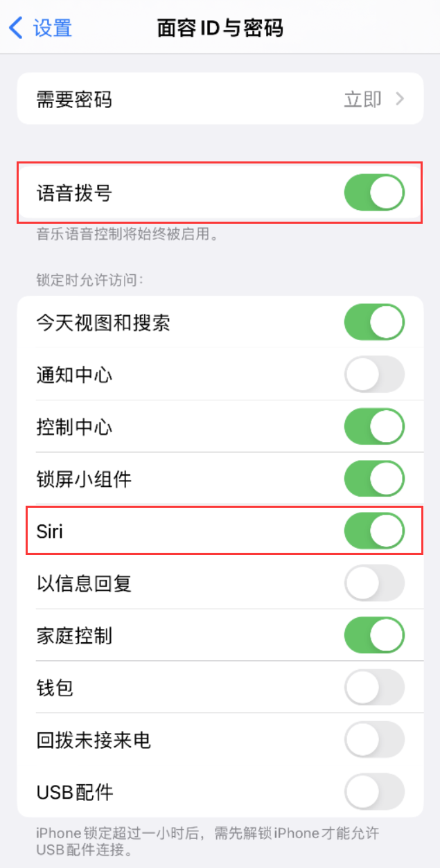 石家庄苹果维修网点分享不解锁 iPhone 的情况下通过 Siri 拨打电话的方法 