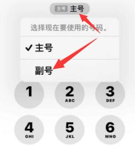 石家庄苹果14维修店分享iPhone 14 Pro Max使用副卡打电话的方法 