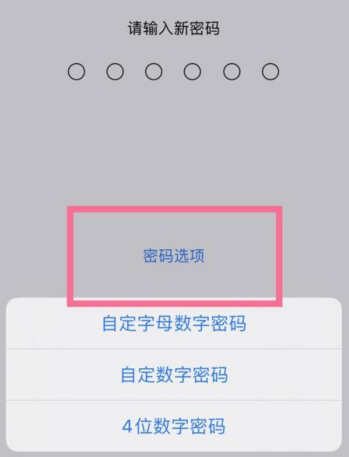 石家庄苹果14维修分享iPhone 14plus设置密码的方法 