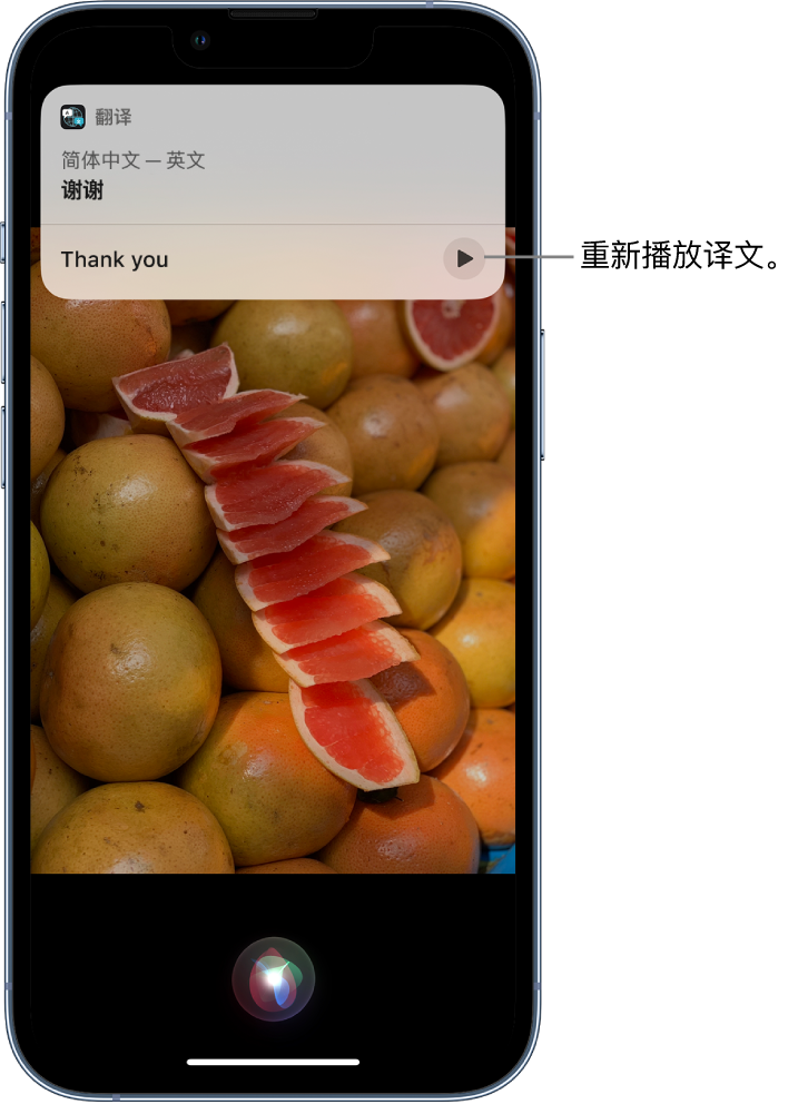 石家庄苹果14维修分享 iPhone 14 机型中使用 Siri：了解 Siri 能帮你做什么 