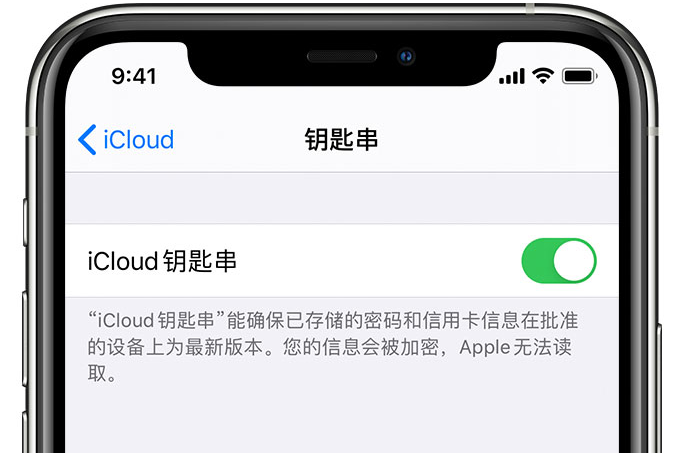 石家庄苹果手机维修分享在 iPhone 上开启 iCloud 钥匙串之后会储存哪些信息 