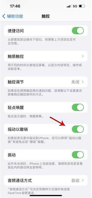 石家庄苹果手机维修分享iPhone手机如何设置摇一摇删除文字 