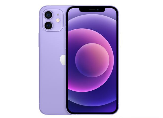 石家庄苹果手机维修分享现阶段要不要入手紫色版iPhone12 